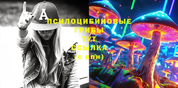 молекула духа Магадан