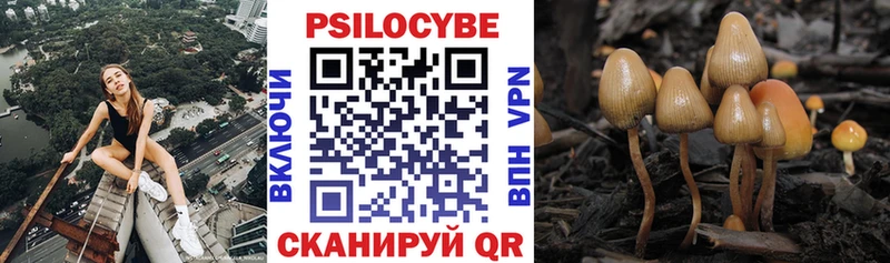 Галлюциногенные грибы ЛСД ссылка на мегу ONION Бирск